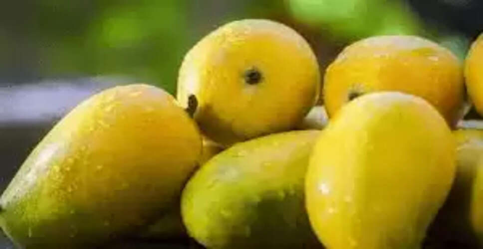 लंगड़ा आम: एक अनोखी कहानी और इसकी उत्पत्ति