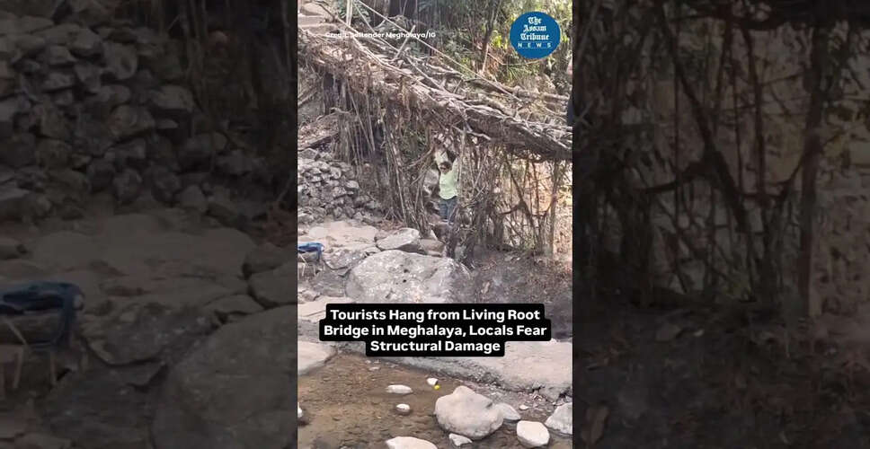 दिलचस्प वीडियो सामग्री का अनावरण