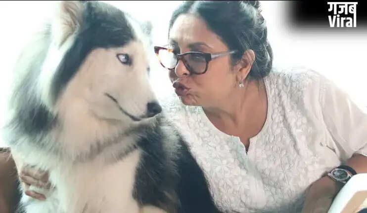 शेफाली शाह का अनोखा बयान: शादी से बेहतर कुत्ते पालना