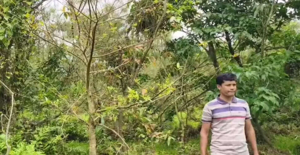 जोरहाट में वृक्षारोपण से हरित परिदृश्य का निर्माण