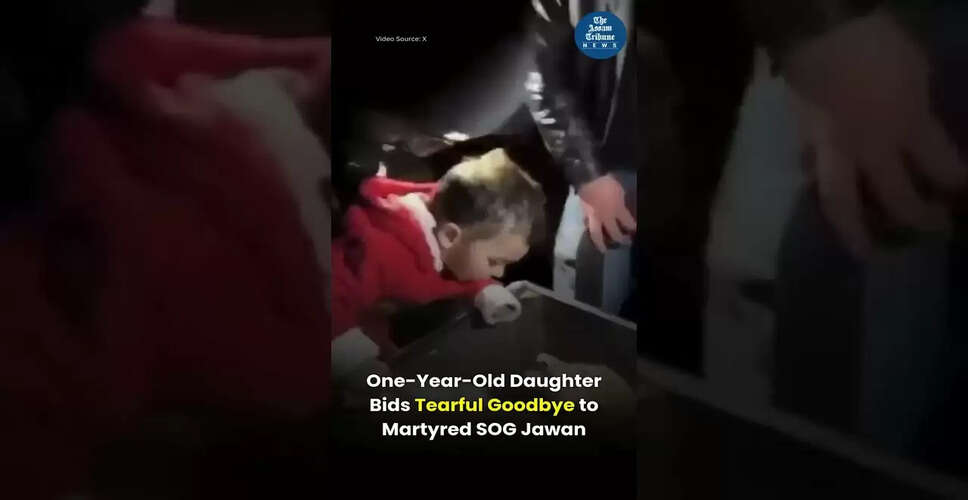 दिलचस्प वीडियो सामग्री का अनावरण