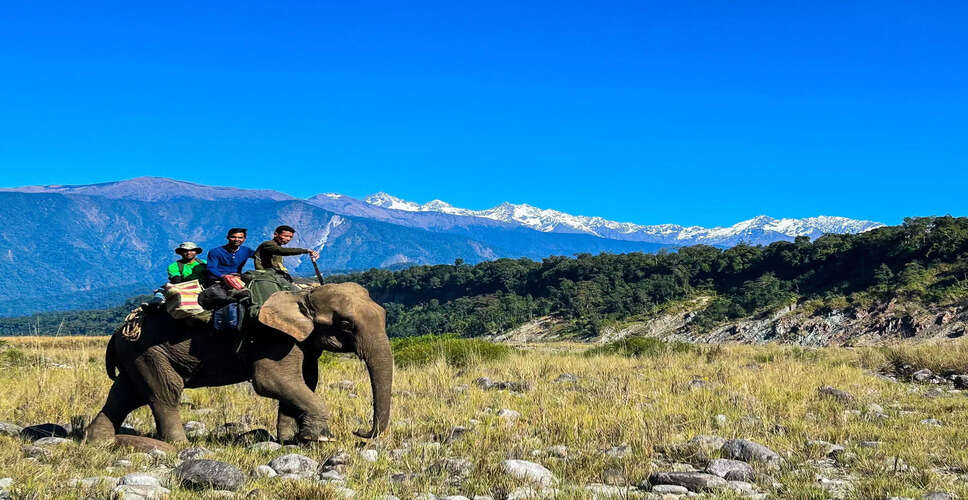 नमदाफा टाइगर रिजर्व में सड़क निर्माण के लिए वन भूमि का उपयोग