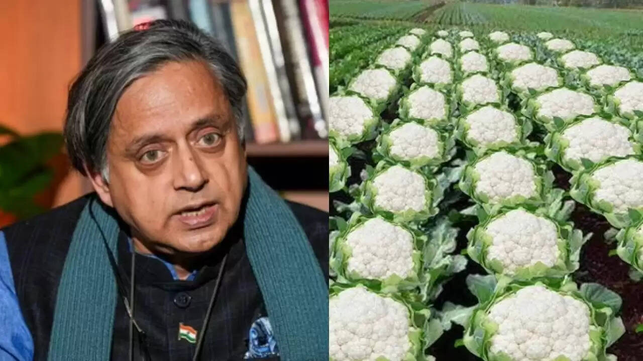 शशि थरूर ने असम मंत्री के गोभी खेती बयान की निंदा की
