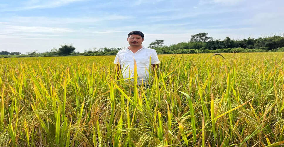गोसाईगांव में चुनावी कार्यालय में आगजनी की घटना