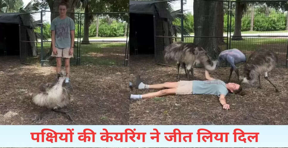 दिल को छू लेने वाला वीडियो: पक्षियों के सामने लड़की ने किया बेहोश होने का नाटक