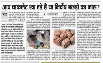 पिज्ज़ा और चॉकलेट में रेनट का रहस्य: जानें क्या है यह एंजाइम
