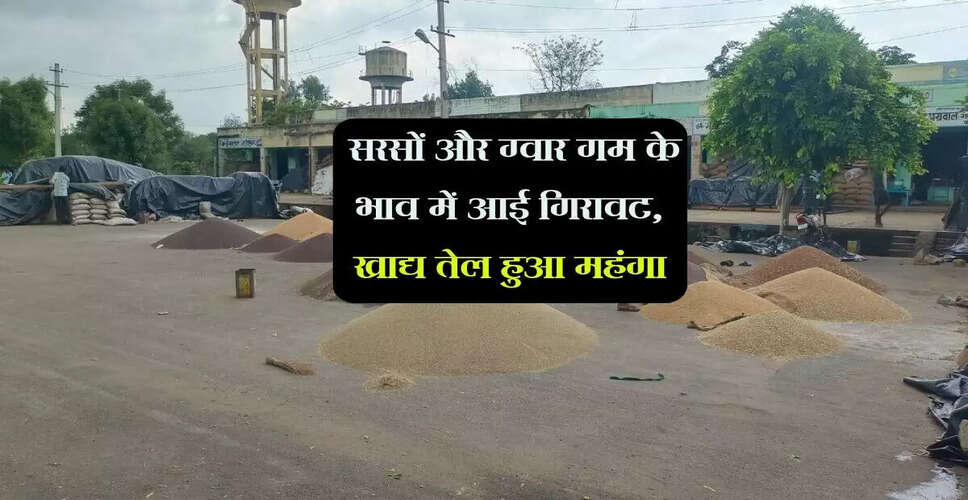 जयपुर मंडी में सरसों के दामों में गिरावट, अन्य फसलों के भाव स्थिर