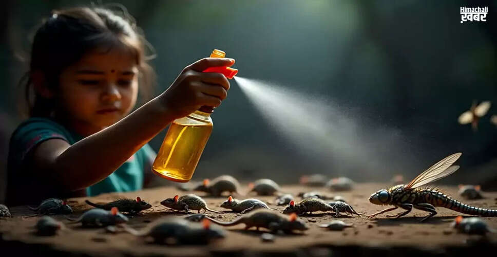 घर से कीड़ों और चूहों को दूर रखने के प्रभावी घरेलू उपाय
