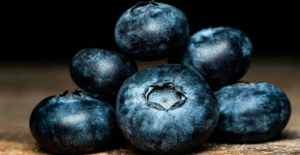 ओरेगन कंपनी ने लिस्टेरिया संदूषण के कारण फ्रीज किए गए ब्लूबेरी का किया recall