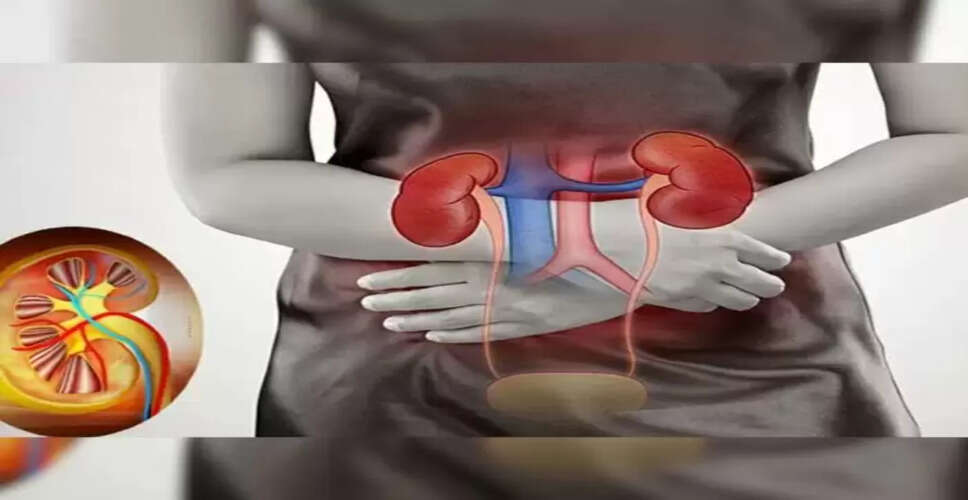 किडनी स्वास्थ्य के लिए हानिकारक आदतें और उनसे बचने के उपाय