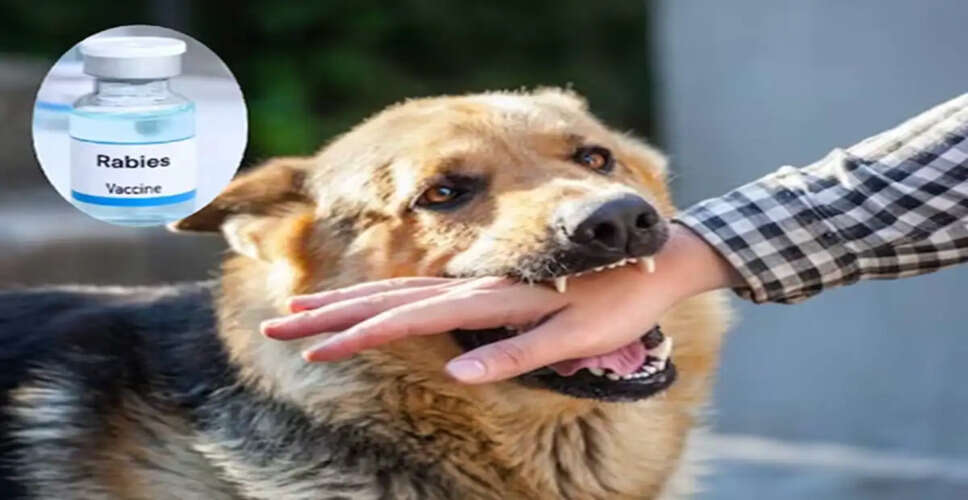 कुत्ते के काटने पर एंटी-रेबिज वैक्सीन के बारे में महत्वपूर्ण जानकारी