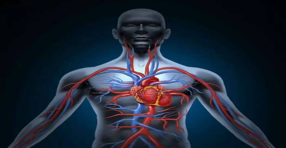 नसों की ब्लॉकेज से राहत पाने के लिए प्रभावी उपाय