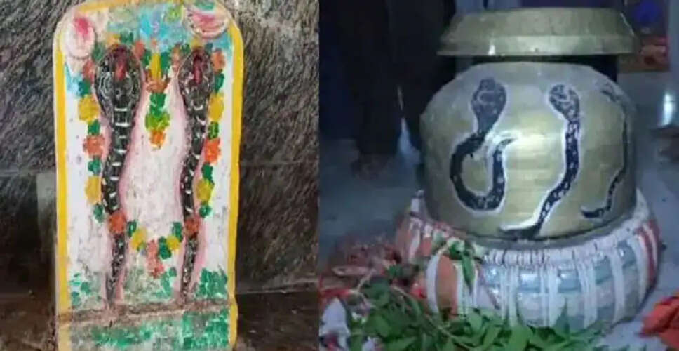 मध्य प्रदेश में सांपों की अद्भुत अदालत: एक अनोखी परंपरा
