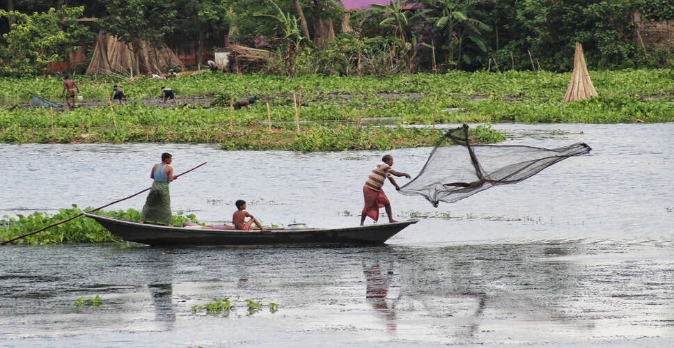 मत्स्य पालन के लिए सितंबर में आवश्यक सुझाव