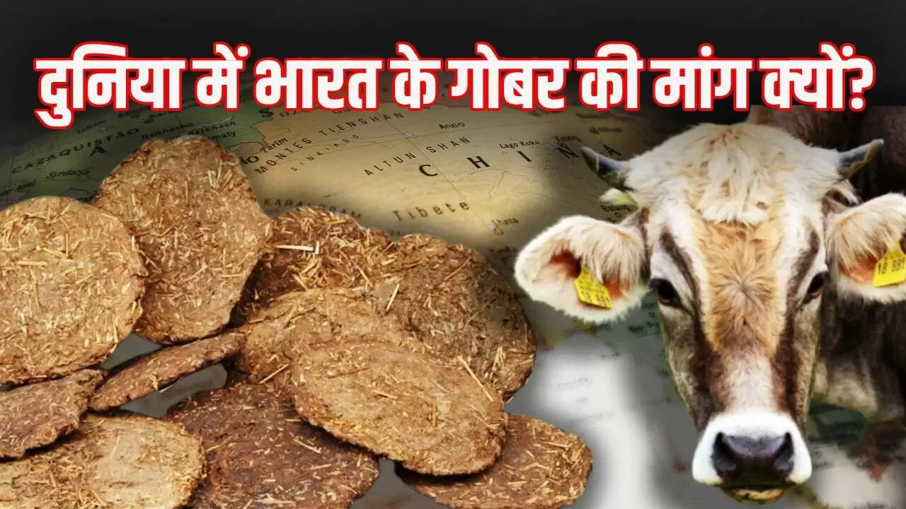 भारत से गोबर खरीदने वाले देशों की बढ़ती संख्या और इसके कारण
