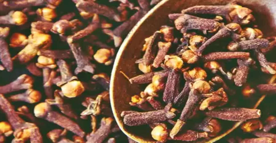 इम्यून सिस्टम को बूस्ट और पाचन तंत्र को दुरुस्त करता है लौंग, मगर ये सावधानियां भी हैं जरूरी