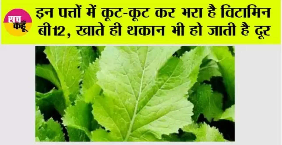 प्राकृतिक स्रोतों से विटामिन बी12 की कमी को पूरा करें