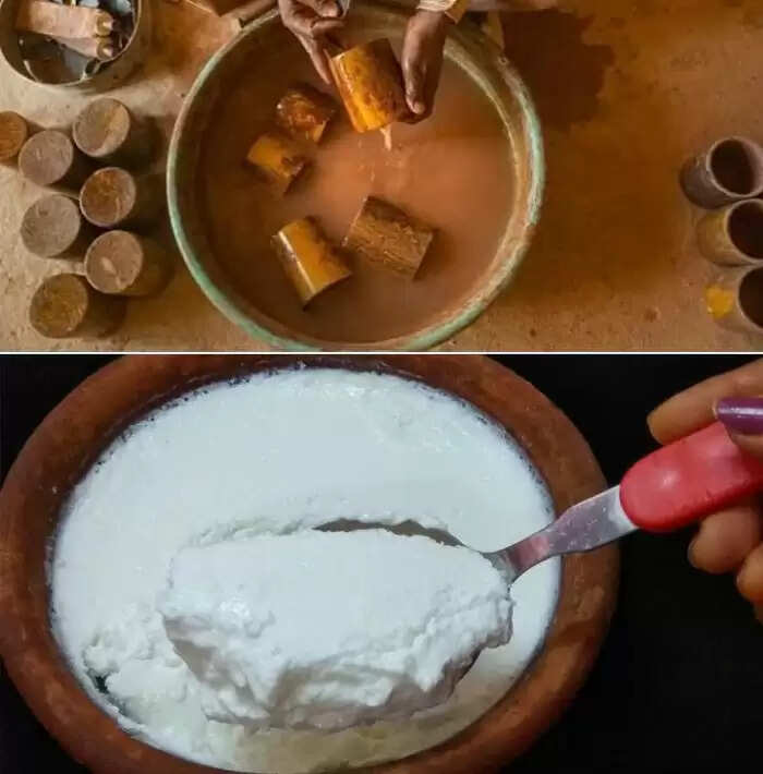 राजस्थान का जादुई पत्थर: दूध को दही में बदलने की अद्भुत क्षमता