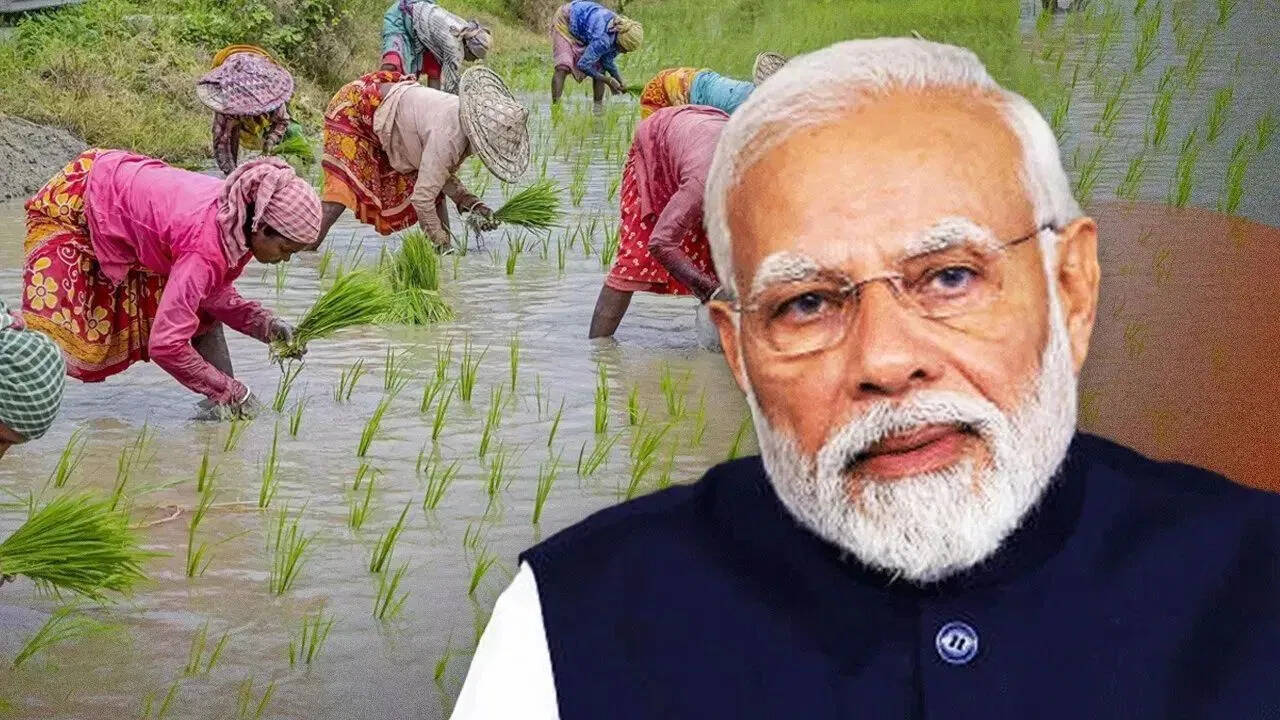 बिहार चुनाव के बाद PM Kisan की 21वीं किस्त की तारीख का इंतज़ार