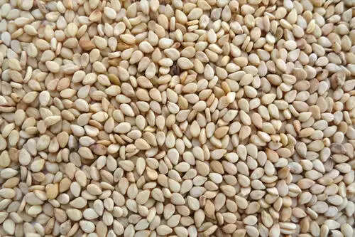सर्दियों में सेहतमंद रहने के लिए खाएं ये 9 खाद्य पदार्थ