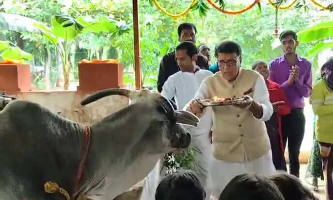 गोपाष्टमी महोत्सव: श्रद्धा और भक्ति का अद्भुत संगम