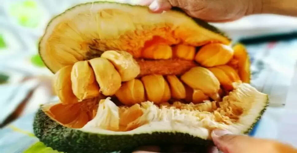 कटहल के बीज: फायदे और नुकसान की जानकारी