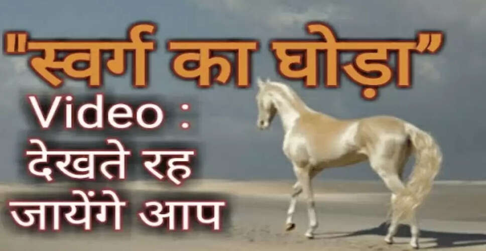 स्वर्ग के घोड़े: अद्भुत नस्लें और उनकी विशेषताएँ