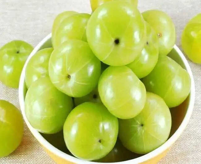 बवासीर के आयुर्वेदिक उपचार: प्राकृतिक उपाय और योगासन