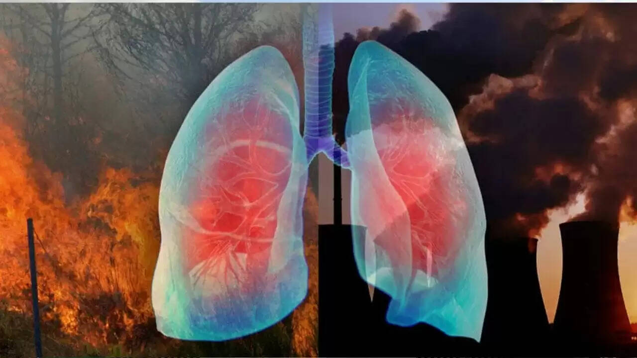 दिल्ली में प्रदूषण: लंग्स पर गंभीर प्रभाव और स्वास्थ्य जोखिम