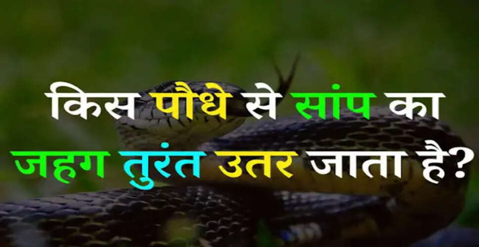 अनोखे सामान्य ज्ञान प्रश्न: क्या आप जानते हैं इनका उत्तर?