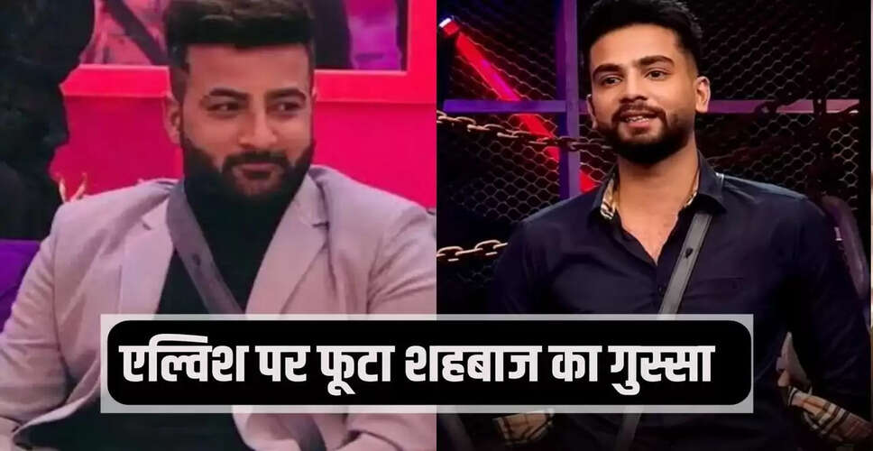 Bigg Boss 19: शहबाज ने एल्विश यादव पर लगाए गंभीर आरोप