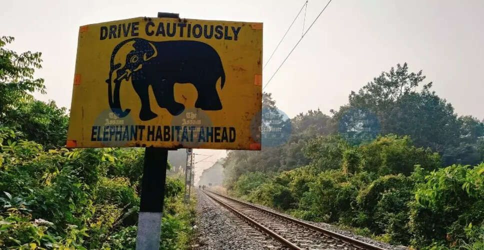 पूर्वोत्तर रेलवे ने हाथियों की सुरक्षा के लिए नई प्रणाली लागू की