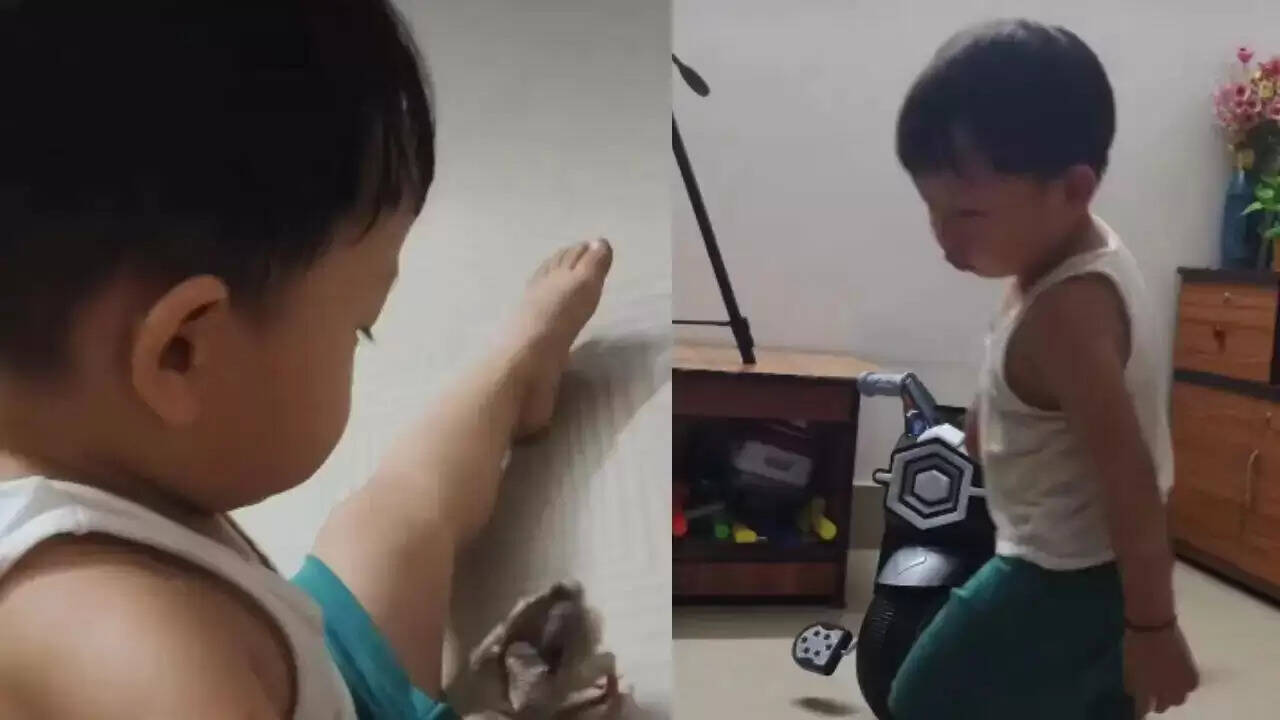 बच्चे का पैंट में पक्षी घुसने का मजेदार वीडियो वायरल