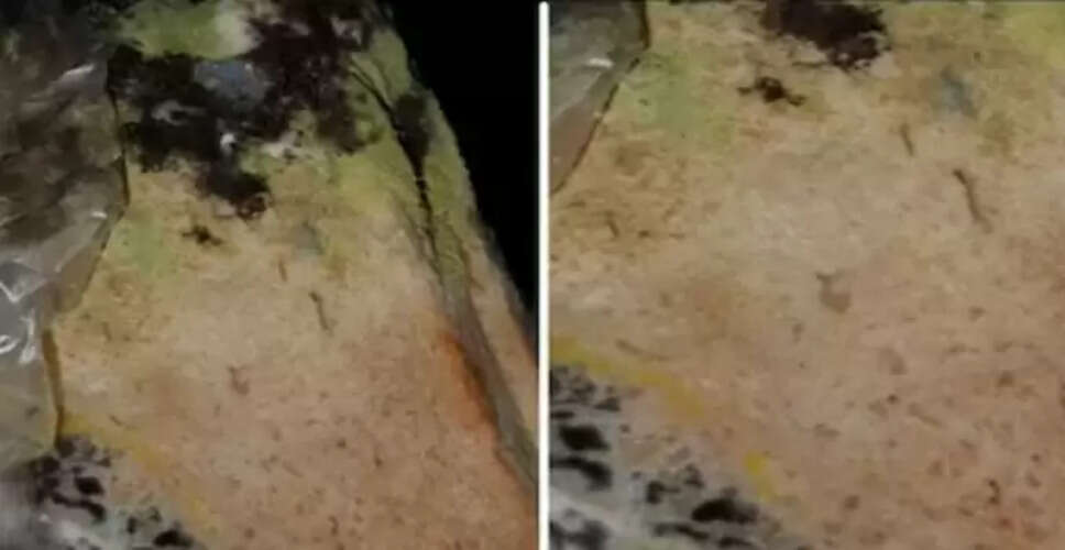 फफूंद लगे ब्रेड की असलियत: माइक्रोस्कोप में दिखी डरावनी सच्चाई