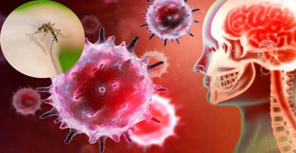 राजस्थान में एन्सेफलाइटिस के संदिग्ध प्रकोप से बच्चों की मौत