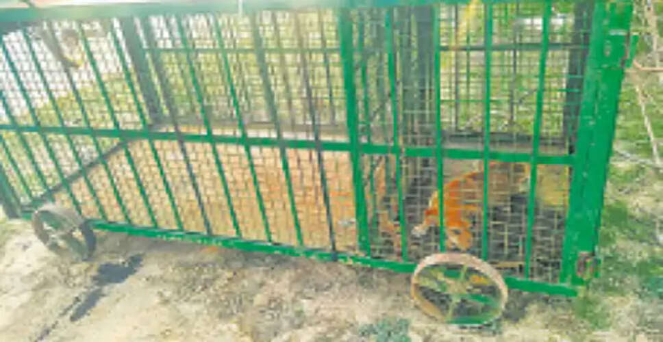 ग्रामीण क्षेत्रों में लेपर्ड का आतंक: वन विभाग की चुनौती