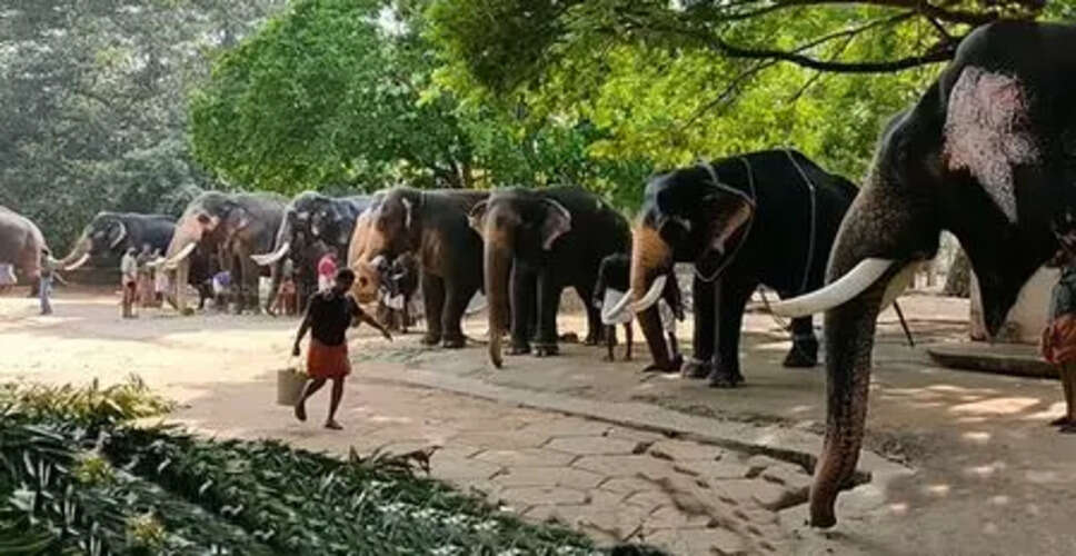गुरुवायुर में हाथियों के लिए वार्षिक पुनर्जीवन चिकित्सा की शुरुआत