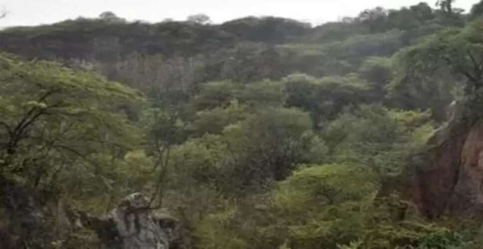 अरावली पहाड़ियों की नई परिभाषा पर विरोध प्रदर्शन तेज