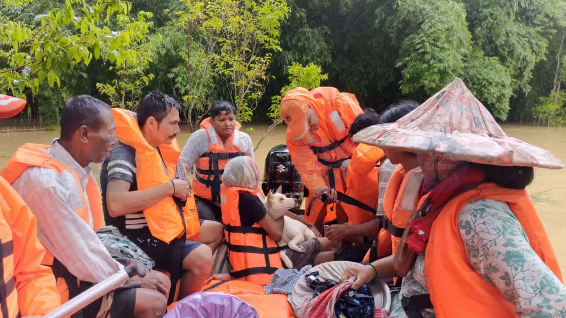 असम में बाढ़ राहत कार्य: NDRF और SDRF की निरंतर प्रयास
