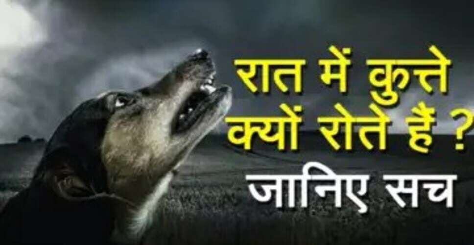 कुत्तों की वफादारी और रात में भौंकने के पीछे का रहस्य