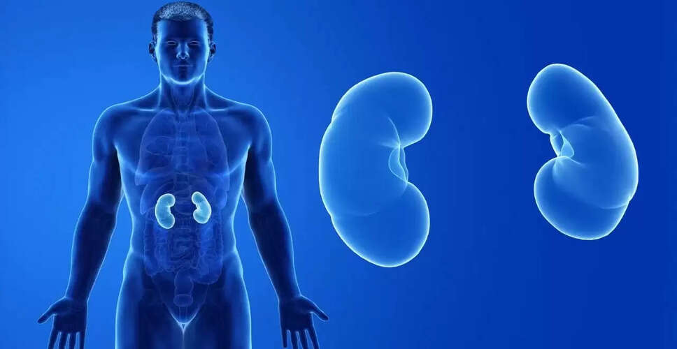 क्या सिगरेट पीना आपकी किडनी के लिए हानिकारक है?