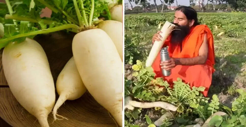 बाबा रामदेव के स्वास्थ्य टिप्स: मूली खाने के फायदे और सही तरीका