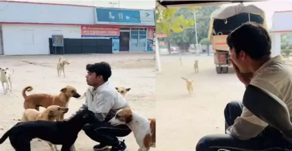 कुत्तों को बुलाने की अनोखी तकनीक का वीडियो हुआ वायरल