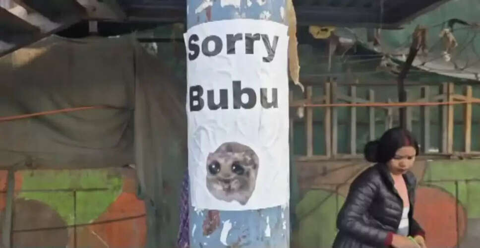 नोएडा में वायरल हो रहे 'SORRY BUBU' पोस्टर की रहस्य गहराई