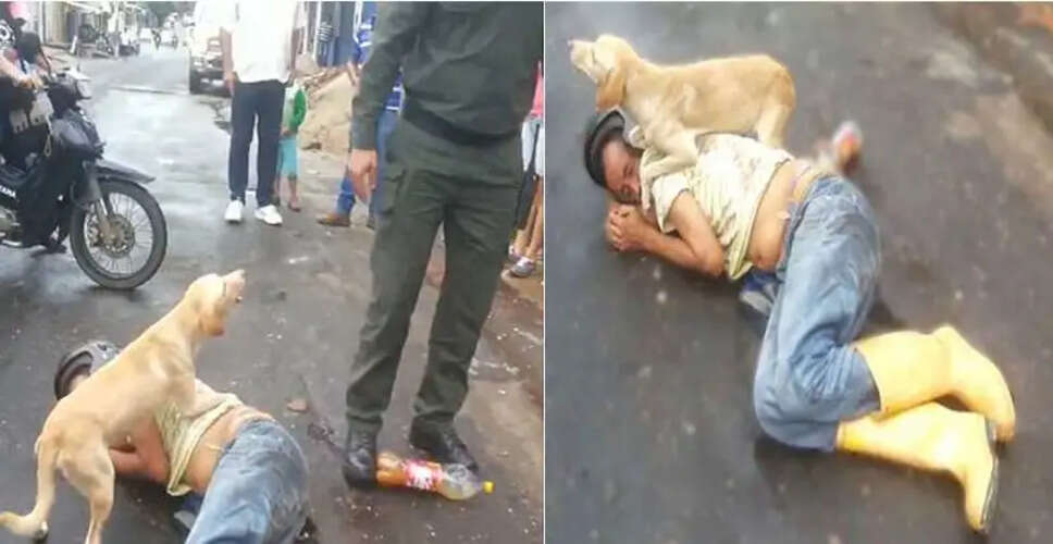 कोलंबिया में कुत्ते की वफादारी ने जीता दिल