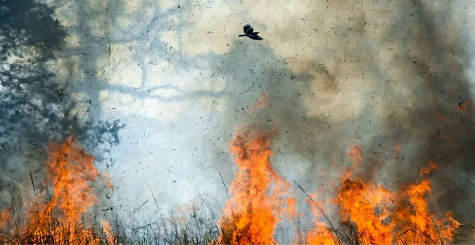 मॉरिसविल में कैम्ब्रिज वेस्टवुड अपार्टमेंट में भीषण आग