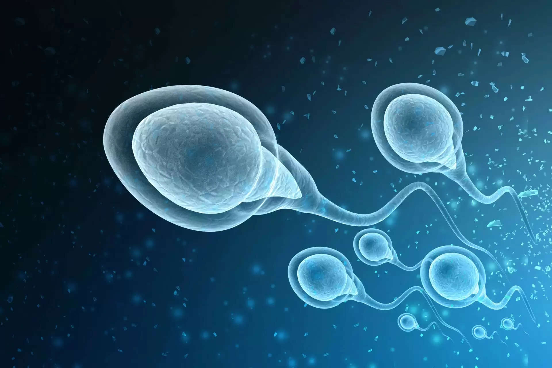 क्या चीन में है Sperm की facotry ?  जहाँ पंप से निकला जा रहा है वीर्य जाने क्या है हकीकत 