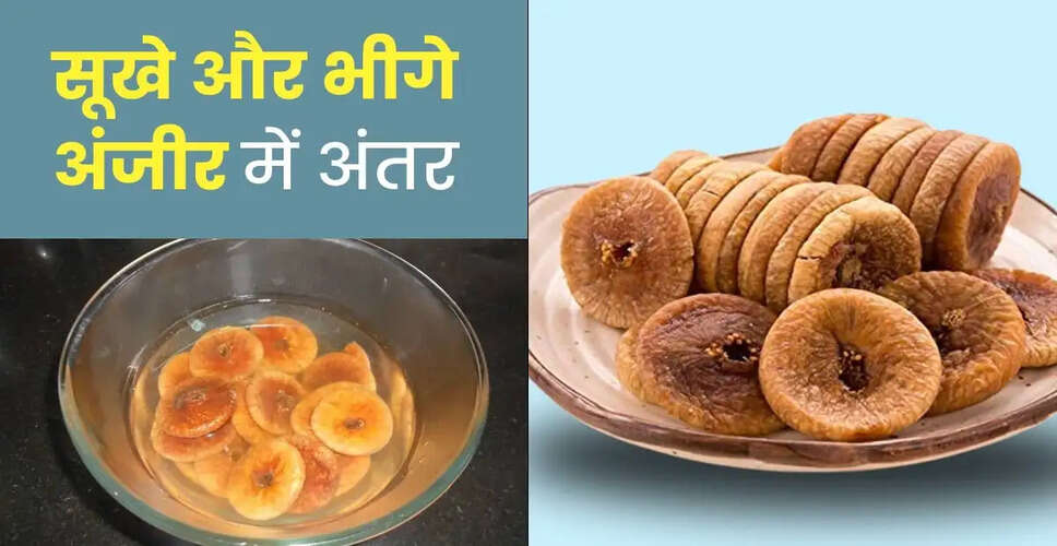 Soaked Figs vs Dried Figs: अंजीर सेहत के लिए काफी फायदेमंद होते हैं। लेकिन सूखे या भीगे अंजीर में से कौन सा अधिक फायदेमंद होता है? इसके बारे में जानें