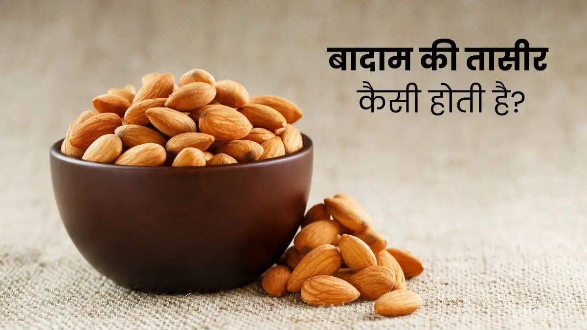 Almond Side Effects in Hindi: बादाम की तासीर कैसी होती है? जानें बहुत ज्यादा बादाम खाने के नुकसान और सावधानियां।