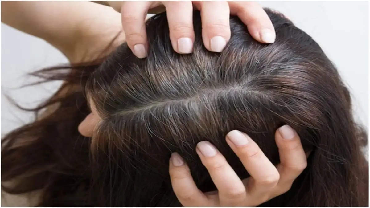 Hair Care Tips जानकारों की मानें तो सफेद बालों को काला करने में करी पत्ता मददगार साबित होती है। इसके इस्तेमाल से सफेद बालों को आसानी से काले किए जा सकते हैं। इसके लिए करी पत्ते को पानी में उबालकर पिएं।